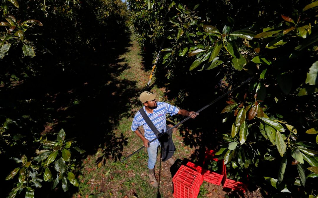 Aranceles a México: Estas son las claves en la relación comercial de ‘amor-odio’ con EU