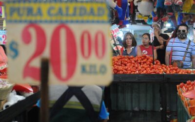 Inflación se desacelera más de lo esperado; llega a 6% en primera quincena de mayo