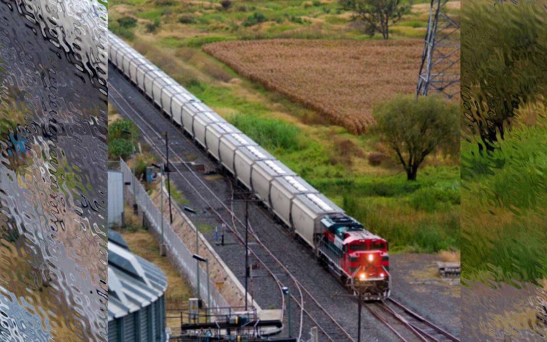 Expropiación de concesión ferrocarrilera de Grupo México daña la confianza: CCE