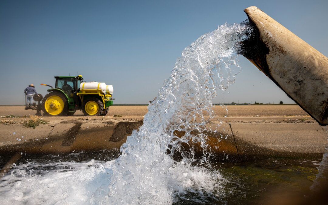 Cuidado del agua, pilar para la producción alimentaria