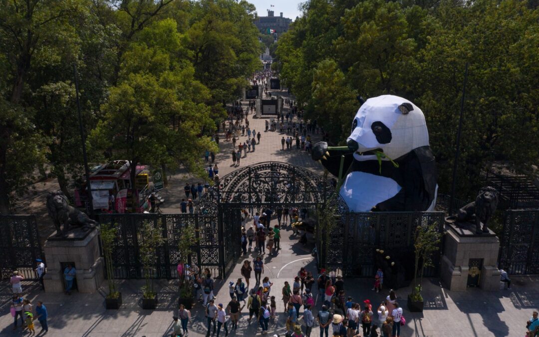 Semana Santa en CDMX: Esta es la programación del Zoológico y el Bosque de Chapultepec