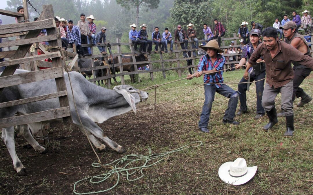 La urgente necesidad de respetar la cultura de nuestros pueblos