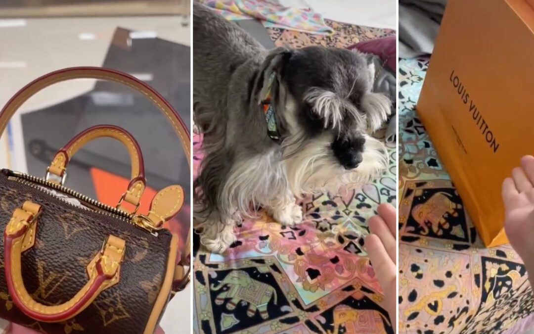 Louis Vuitton vende bolso de lujo para recoger heces de perro; cuesta más de 18 mil pesos