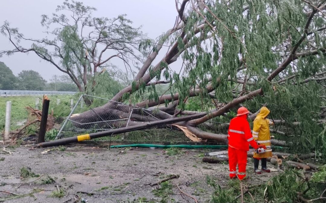 (FOTOS) El ‘saldo’ de ‘John’ en Acapulco: Ciclón deja al puerto inundado, con deslaves y sin transporte
