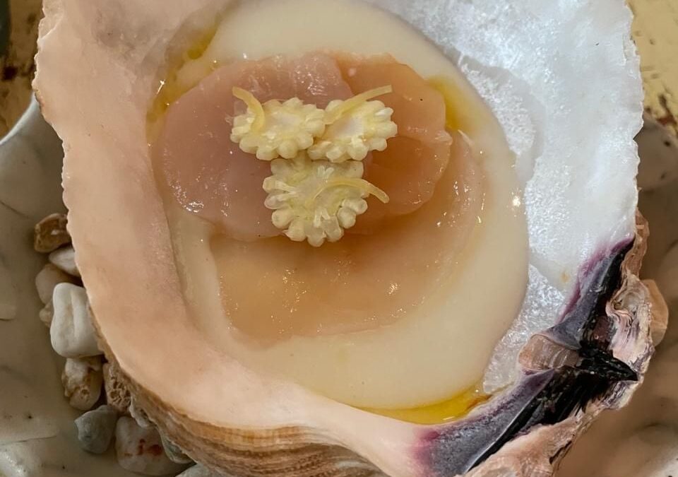 Reygadas proyecta su luz desde Rosetta