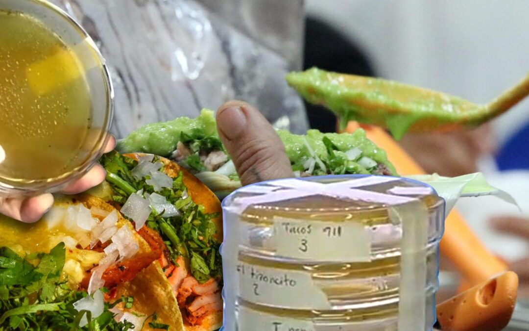 ¿Cuántos microbios hay en la salsa de tus tacos? Así se ven en video
