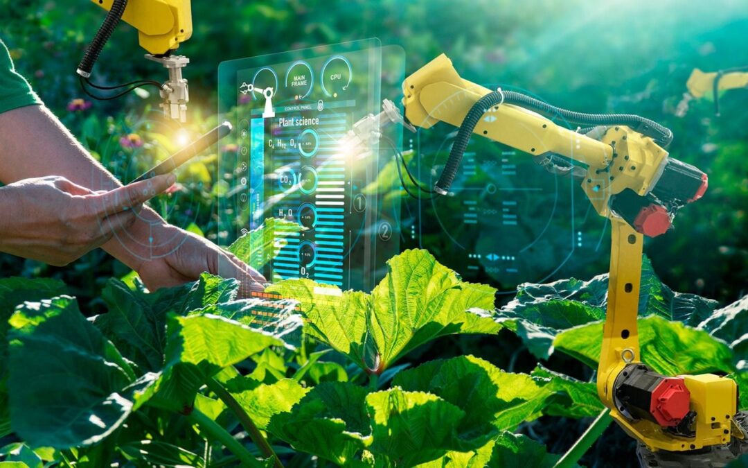 De la vista nace el amor y mejor si es verde