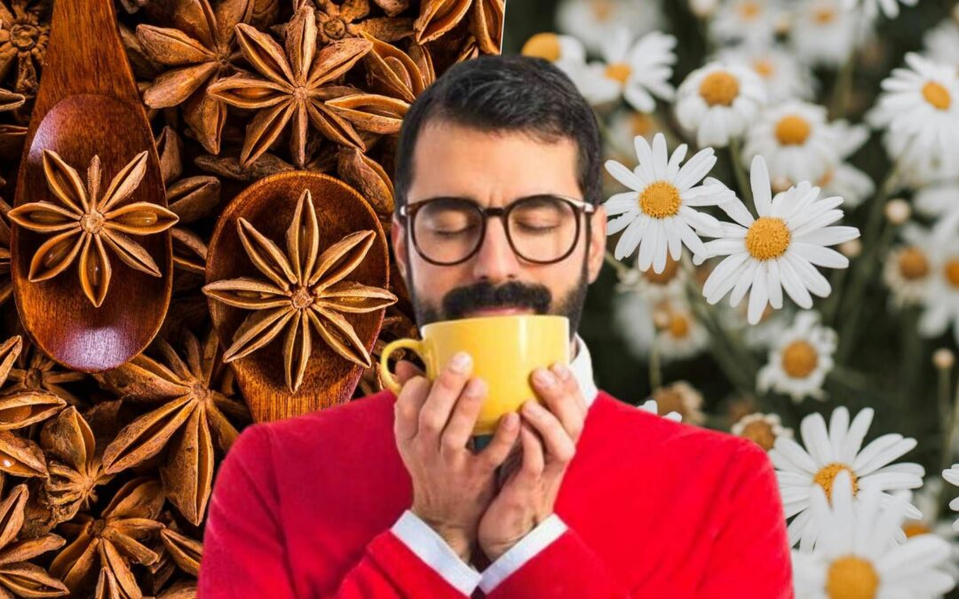 ¿Para qué sirve tomar té de manzanilla con anís?