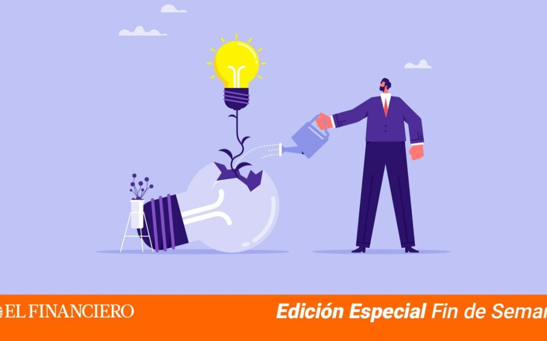 Transforma errores en éxitos empresariales