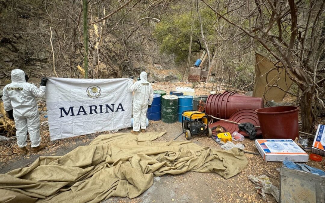 Así es el proyecto de Semar y Cofepris para ‘trazar la ruta’ de la elaboración de drogas sintéticas