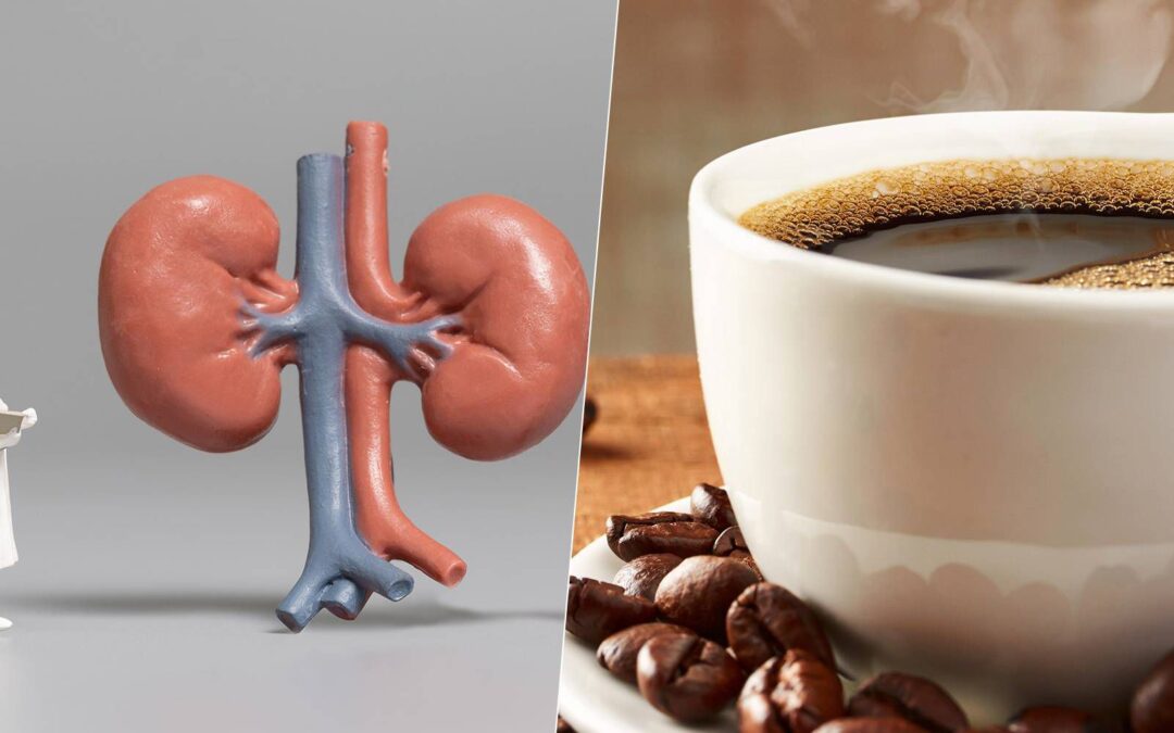 ¿Cómo afecta el café a la salud de los riñones?