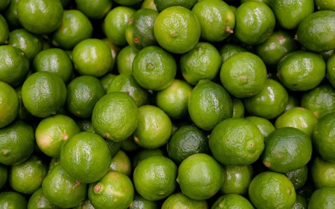 Extorsiones a limoneros de Michoacán: ¿A cuánto está el kilo de limón en CDMX y otros estados?