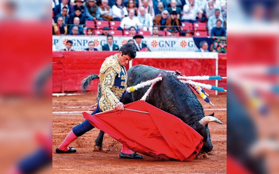 ¿Dónde está el toreo?