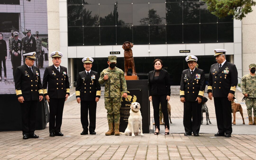 ‘Gracias por todo Frida’: Develan escultura de perrita rescatista