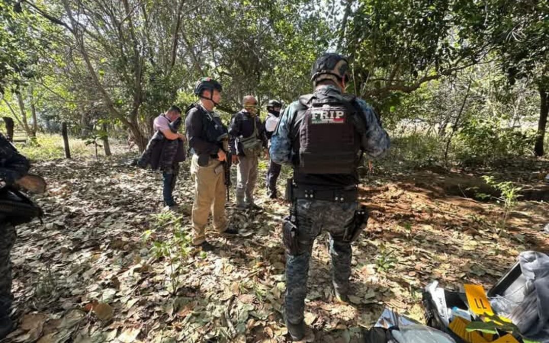 Hallan 11 fosas clandestinas en La Concordia, Chiapas; había al menos 15 cuerpos