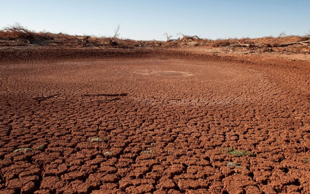 El agua, el commodity del futuro: otro año de sequía más para Texas