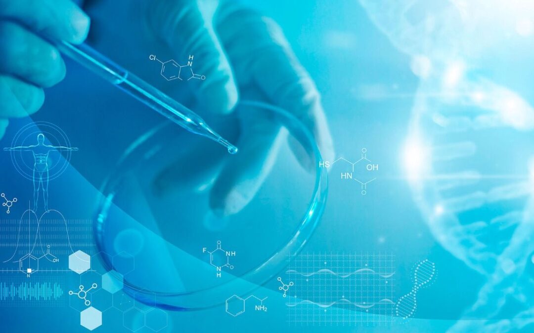 Virus de Marburgo: ¿Qué es y cómo se transmite la enfermedad ‘prima’ del ébola?