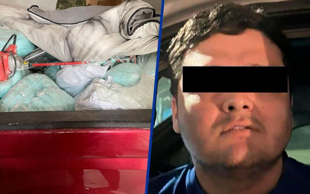 Golpe al tráfico de fentanilo: Decomisan mil 500 kilos de pastillas en Sinaloa
