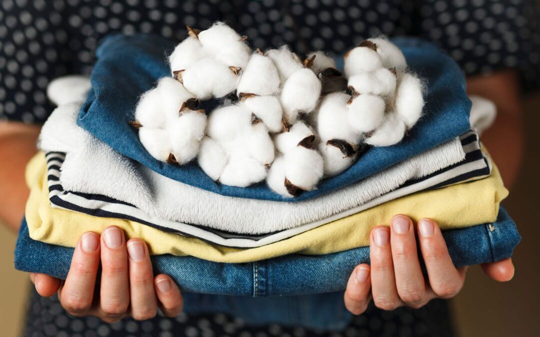 Productores de ropa le apuestan a la sustentabilidad con algodón sostenible
