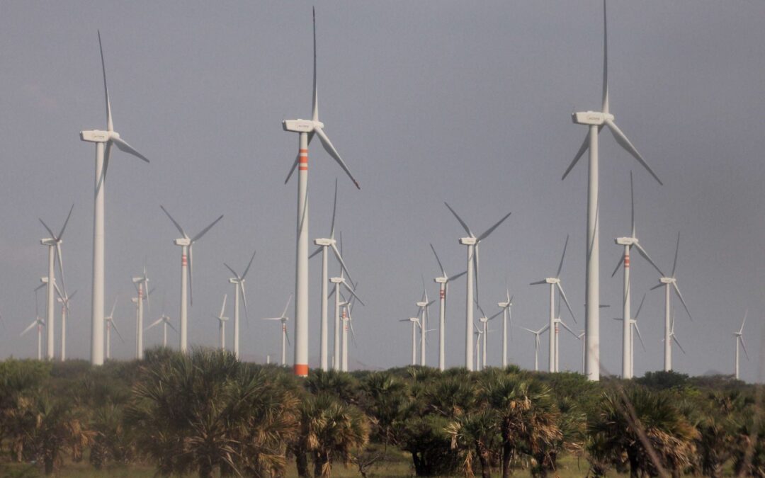 La fuerza del viento en la economía