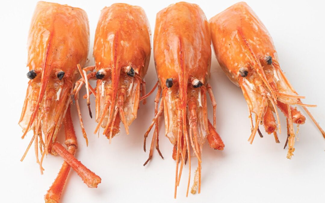 ¿Por que no es recomendable comer las cabezas de los camarones?