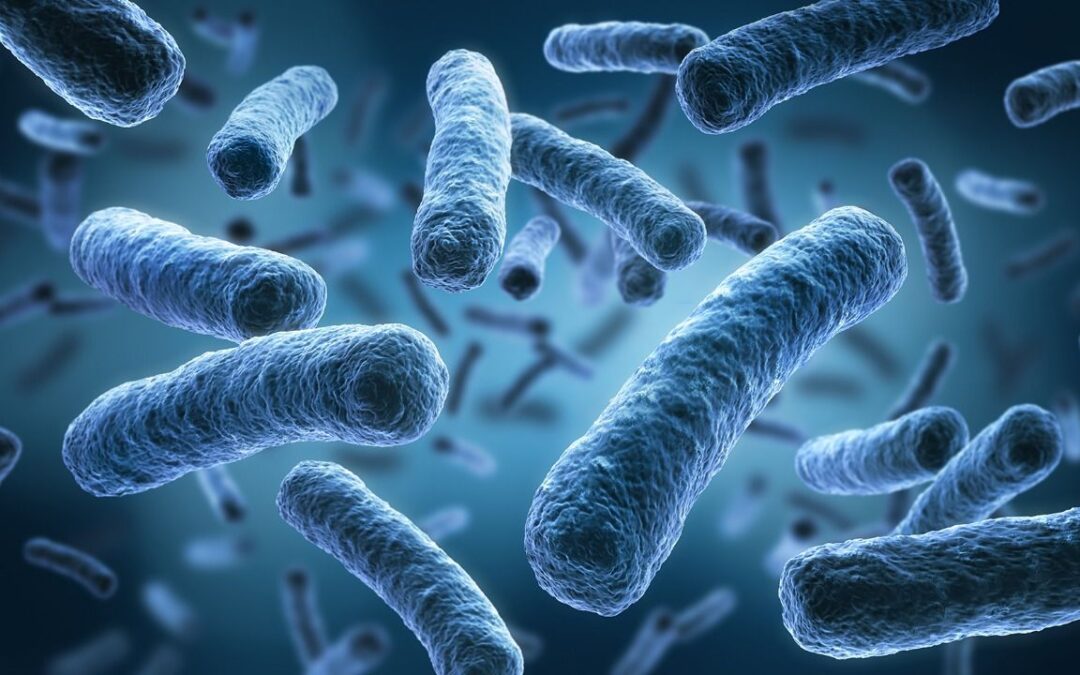 Contaminación textil en el mar: Encuentran casi 200 bacterias que podrían ser dañinas al humano
