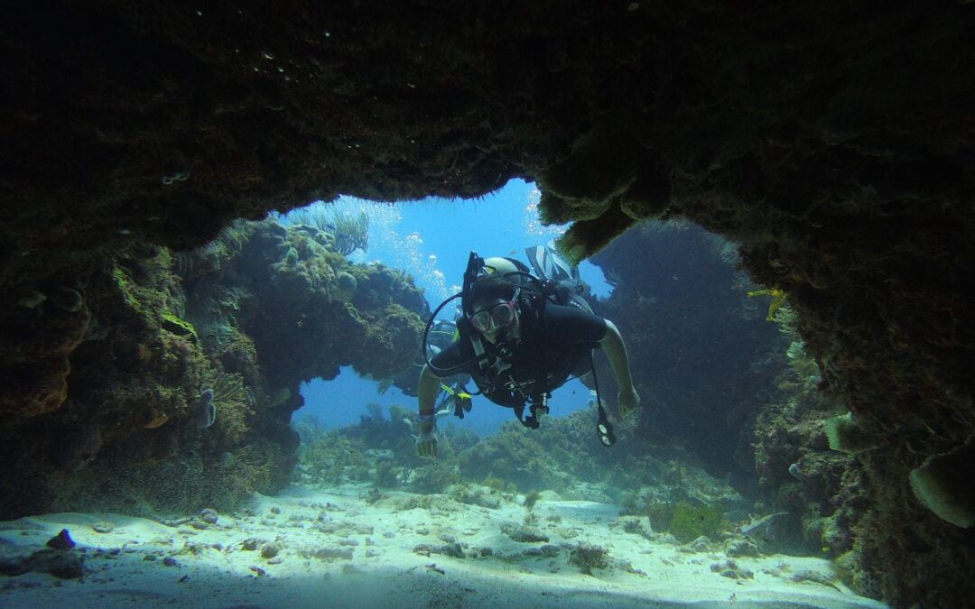 El Gran Arrecife Maya, paraíso para el buceo y el snorkel