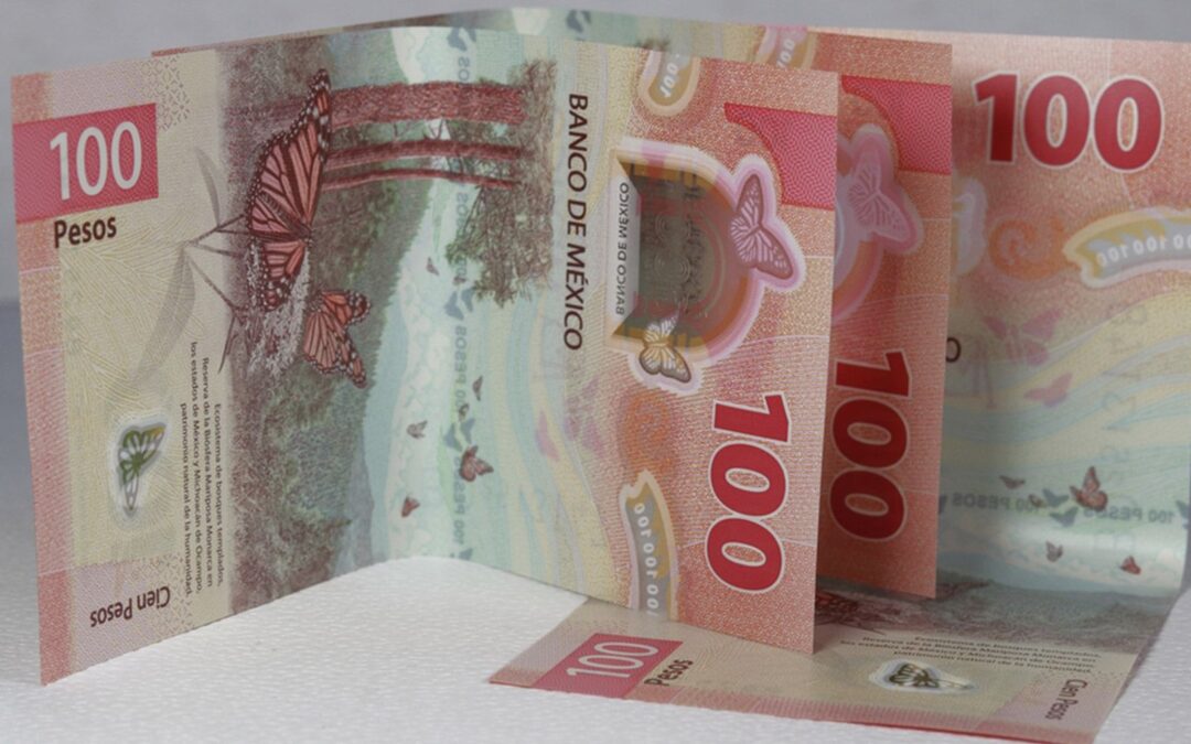 ‘Pasito’ en falso para el peso frente al dólar
