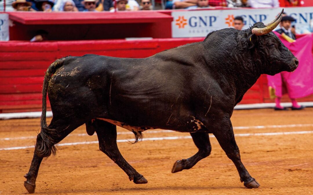 Herencia y transmisión