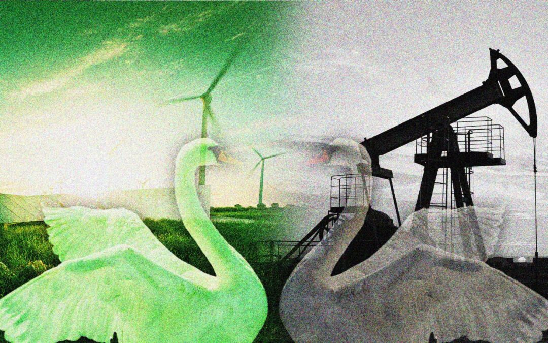Carstens saca su cisne verde