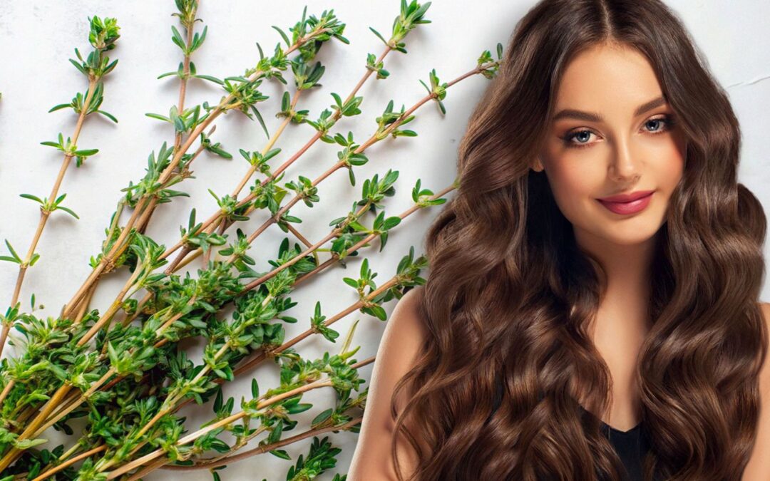 ¿Cuál es el efecto del tomillo en el cabello?