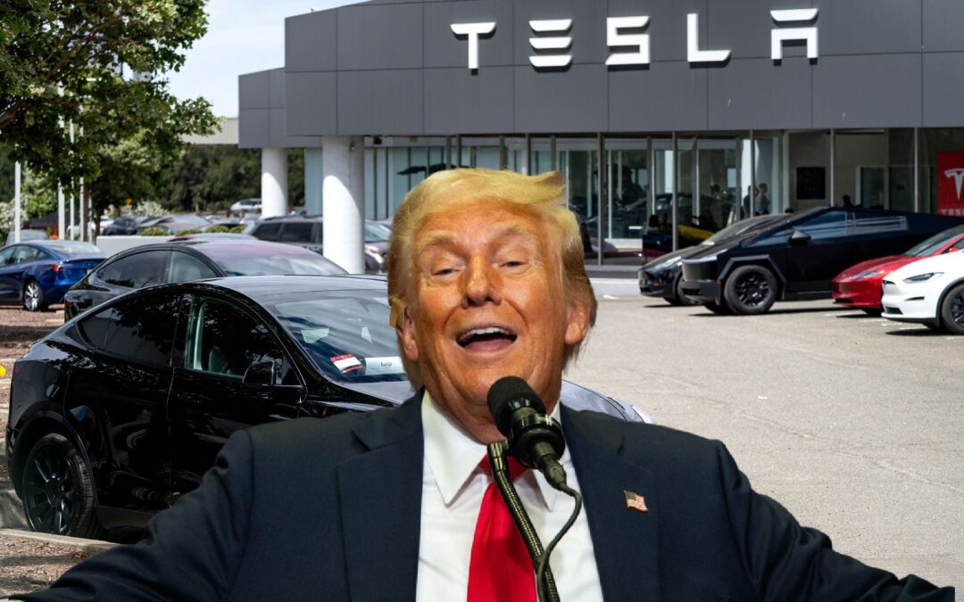¿Frenará la elección de Trump a Tesla en México y a nuevas inversiones automotrices? Esto dice la industria