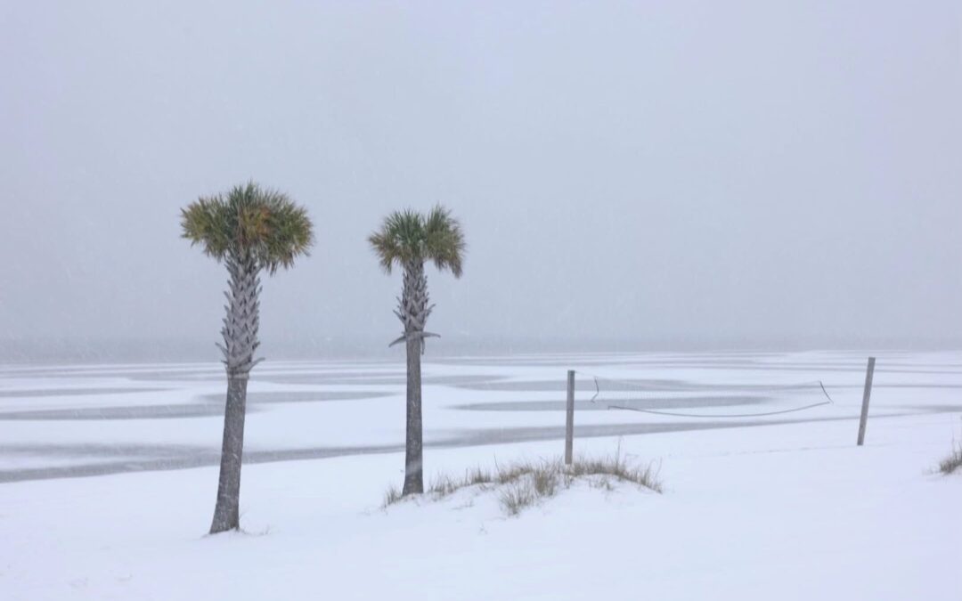 Tormenta invernal ‘histórica’ da ‘estrenon’ al golfo de América: Nieva en Florida (Fotos)