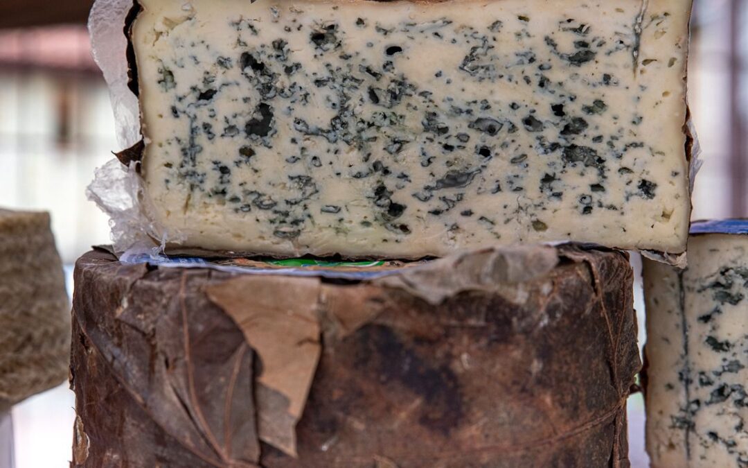 Este es el queso más caro del mundo y se hace con leche de burra