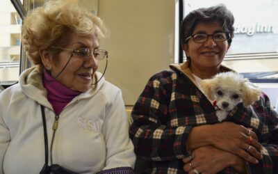 ¿Puedes viajar con tu mascota en el Metro o Metrobús? Esto dice la Ley de Movilidad en CDMX