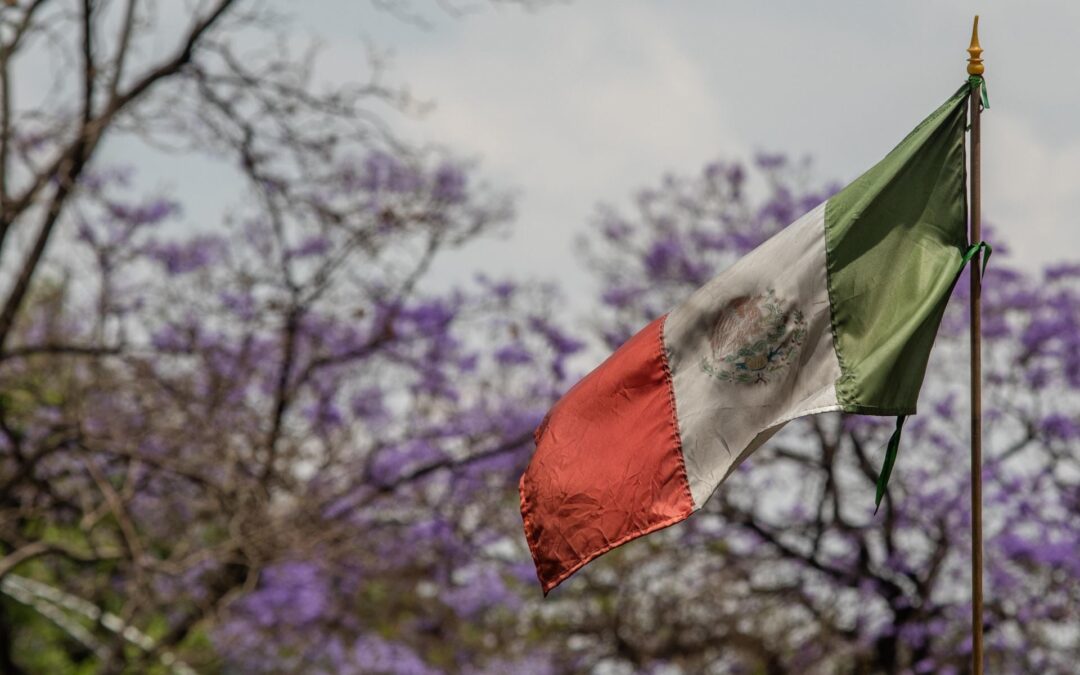 FMI da doble ‘tijeretazo’ a México: Recorta pronósticos de 2024 y 2025 por postura fiscal restrictiva