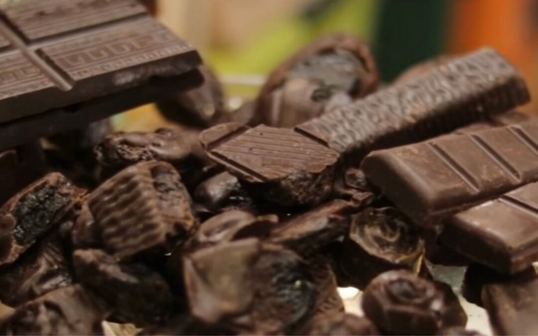 Festival del Chocolate Tabasco 2022: Endúlzate la vida con esta fiesta de cacao