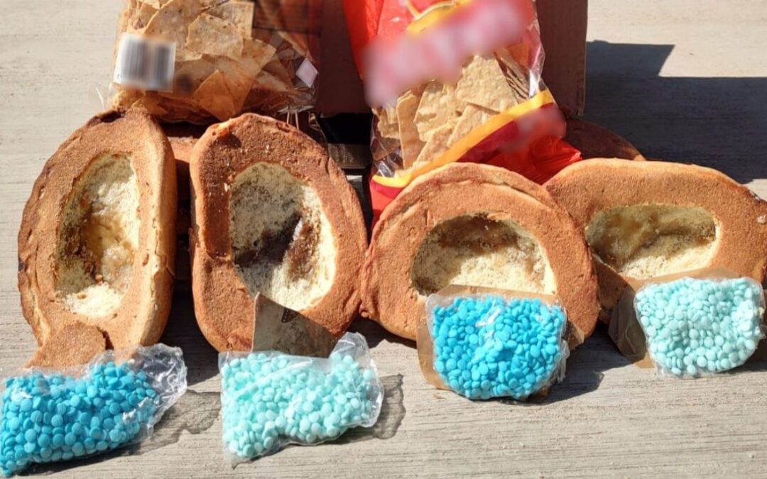 Rellenan pan… pero con fentanilo: Decomisan en Sinaloa 2 mil pastillas en productos artesanales
