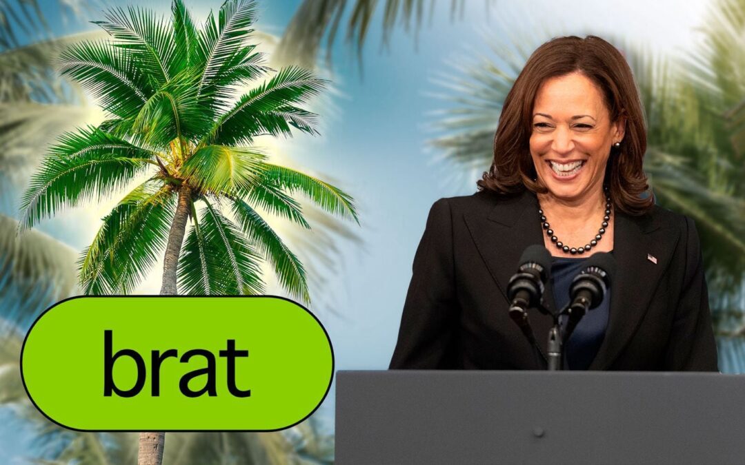 Kamala Harris tiene nuevos aliados: Los memes de la ‘palmera de cocos’ y ‘Brat’