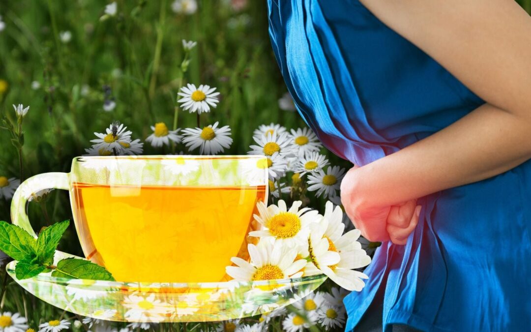 ¿Cuál es el efecto del té de manzanilla para los cólicos?