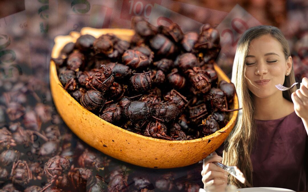 ¿Qué es la hormiga chicatana, producto mexicano gourmet que vale mil pesos el kilo?