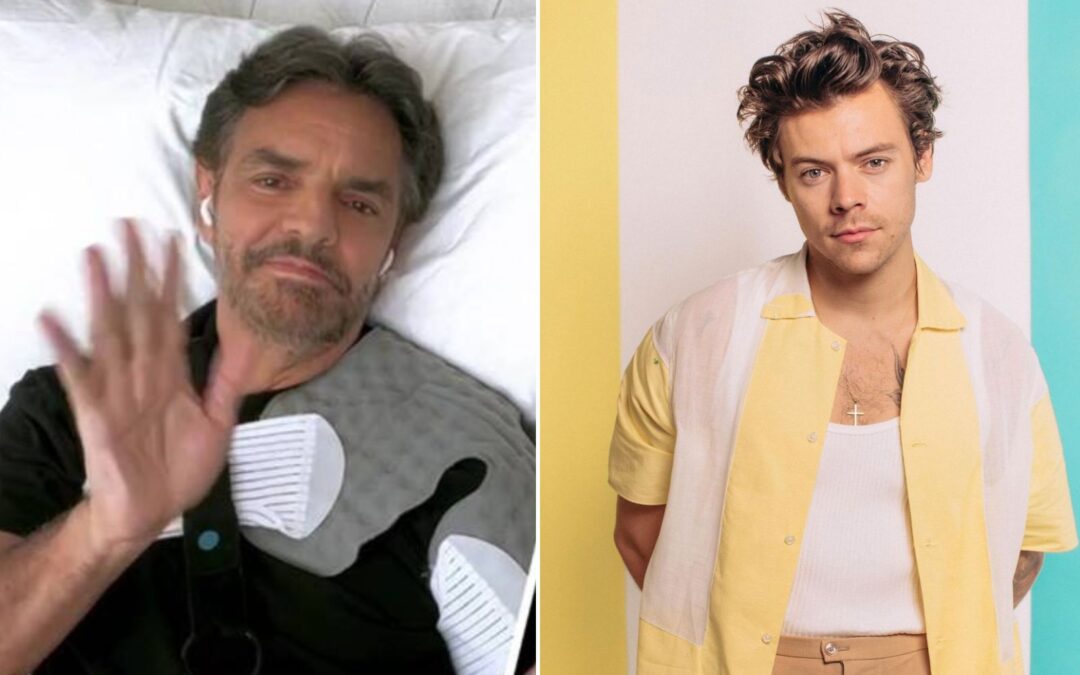 Eugenio Derbez reaparece en un concierto de Harry Styles: ‘Ya a salir, a desempolvarme’
