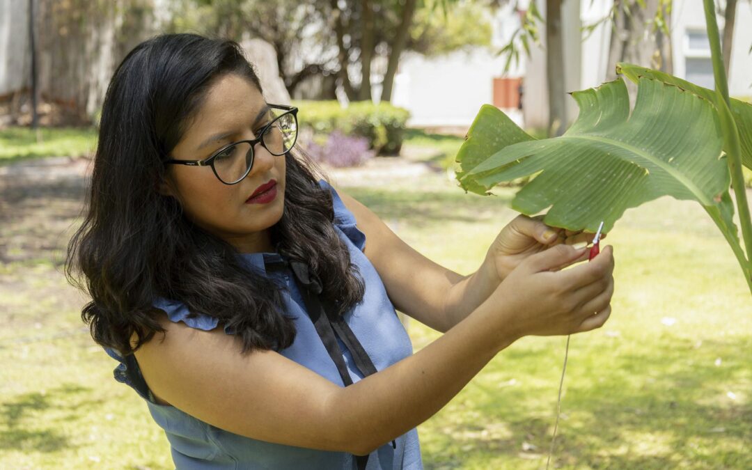 Canciones ‘a base de plantas’: Científica mexicana logra hacer música con sonidos de hortalizas