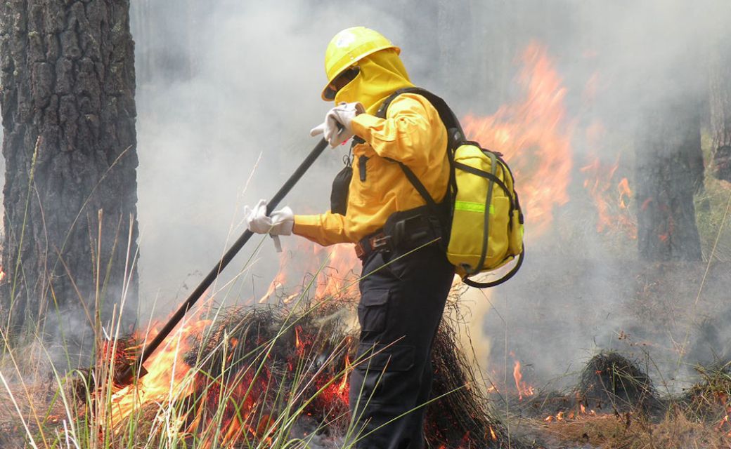 Incendios forestales en México: ¿Cuáles son los que están activos?