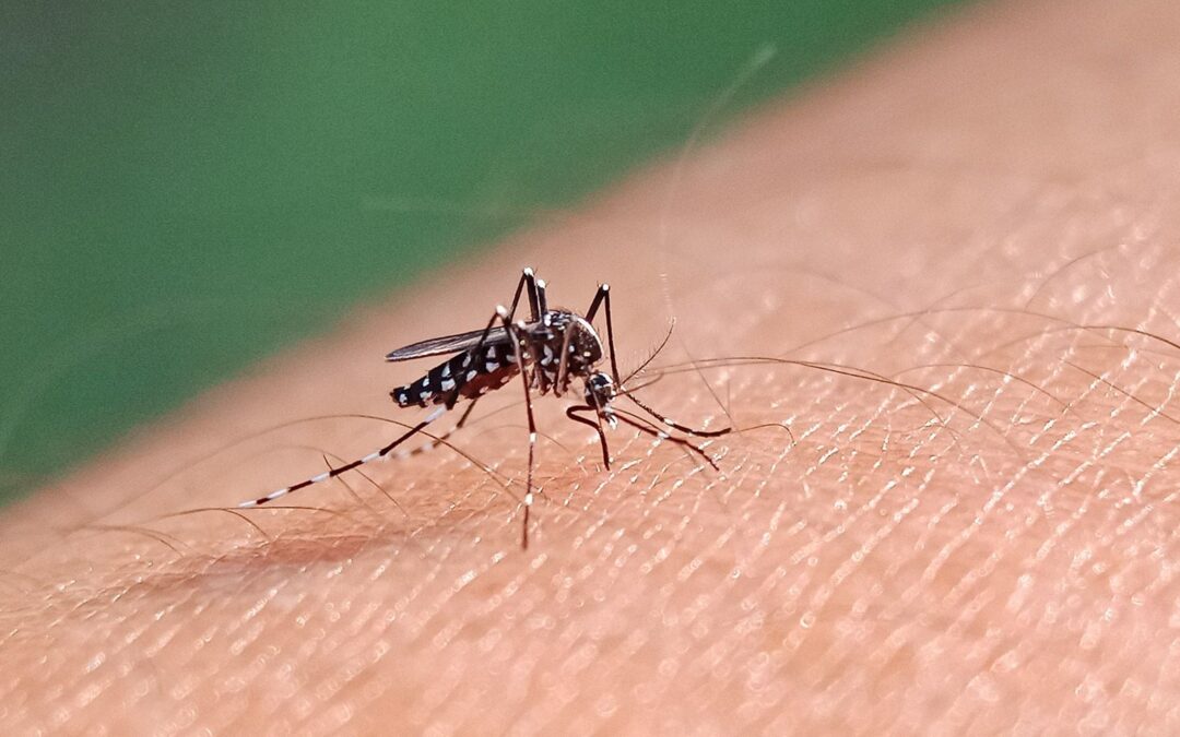 El dengue ‘se adueña’ de Guerrero: Ya suman 9 muertes y 4 mil 48 casos probables