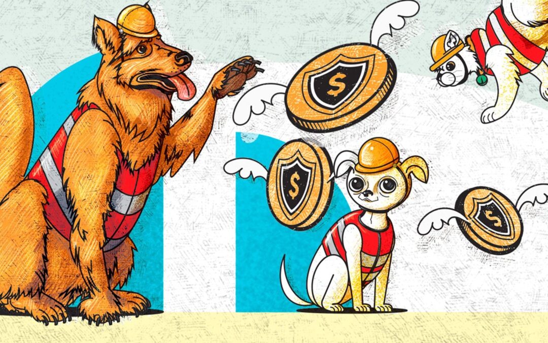 Michis y lomitos protegidos: conoce el seguro para mascotas
