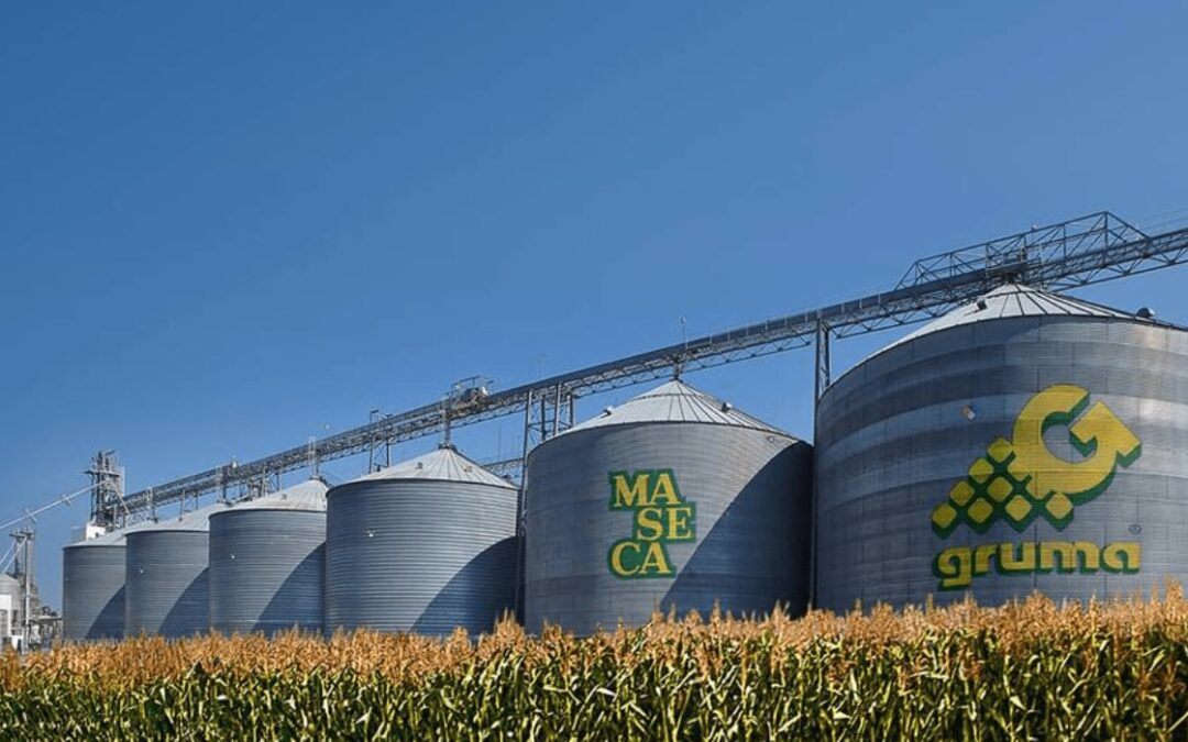 Ordena Cofece a Gruma que venda 5 plantas