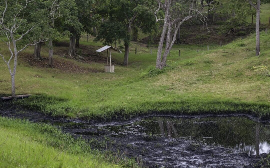 Denuncian derrame de hidrocarburos de Pemex en zonas totonacas de Veracruz