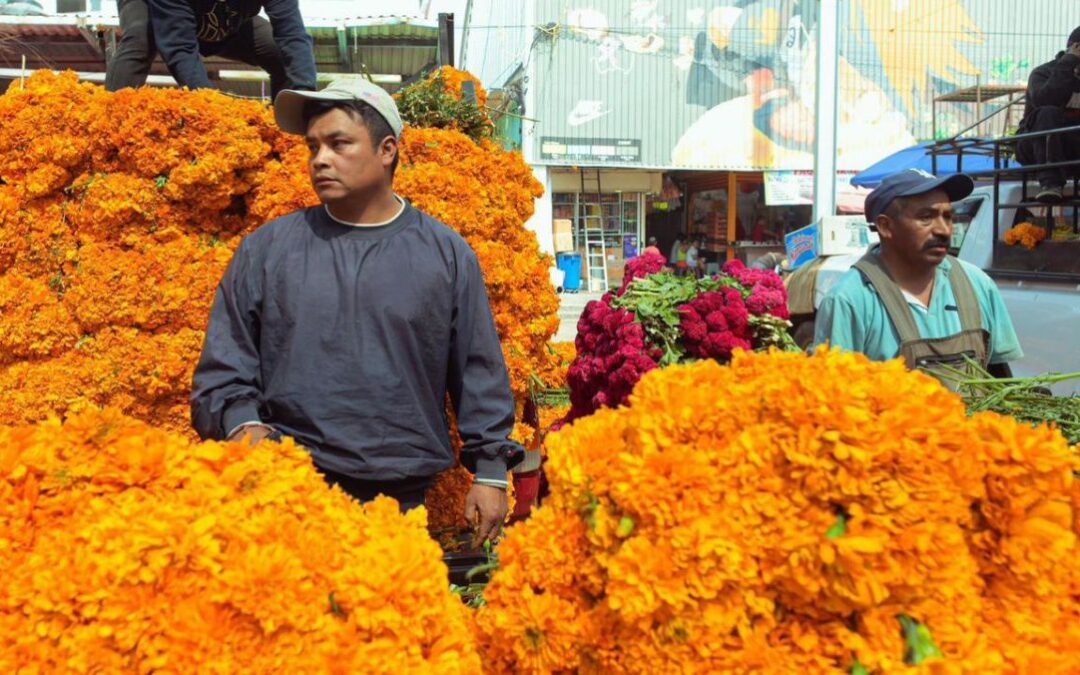 Coparmex CDMX compra 10 mil flores de cempasúchil a productores de Xochimilco afectados por las lluvias