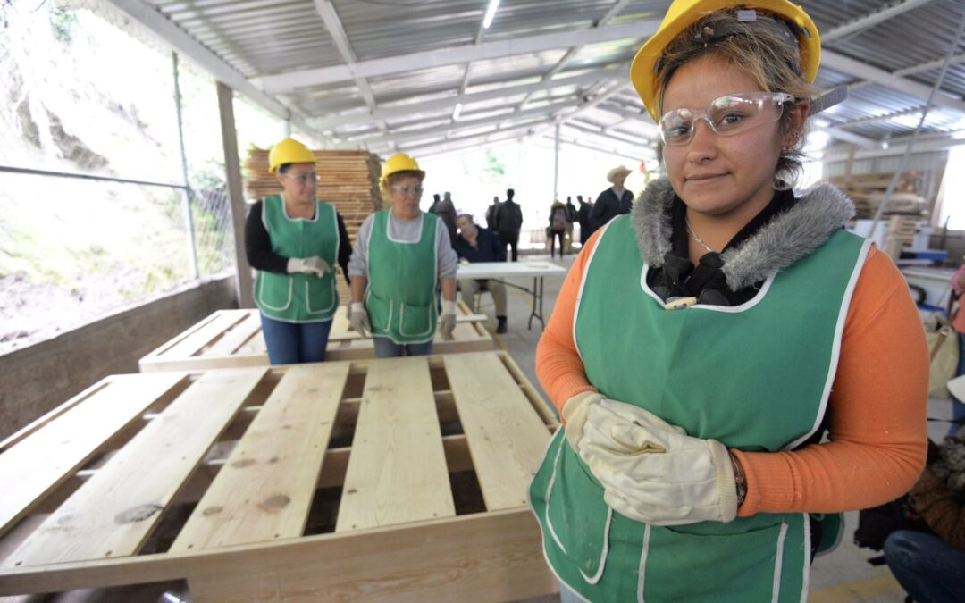Dividendo demográfico